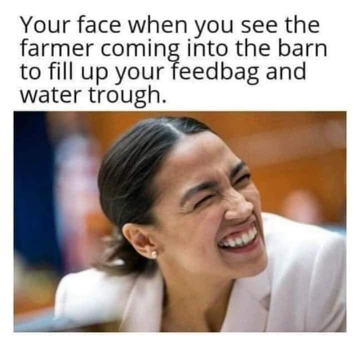 1000004320.jpg