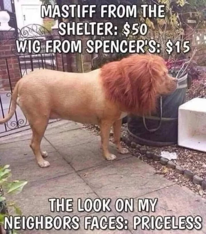 1000005125.png