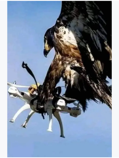 1000005129.png