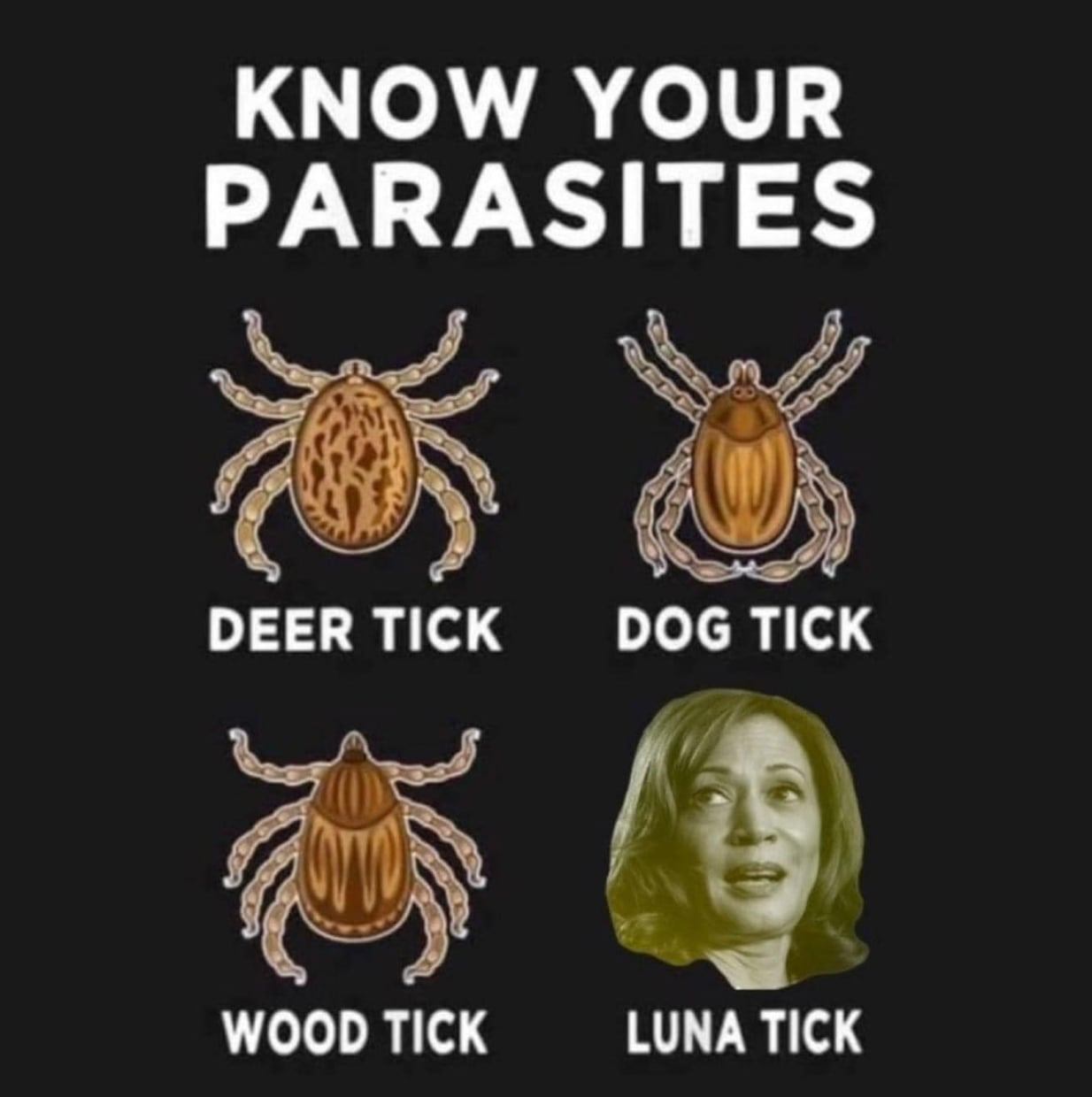 1000005157.jpg