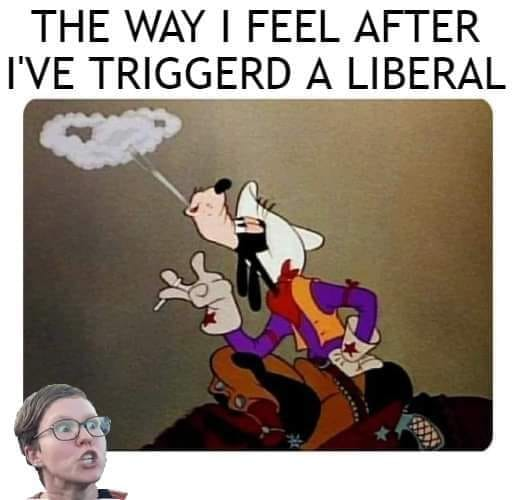 1651491518441.png