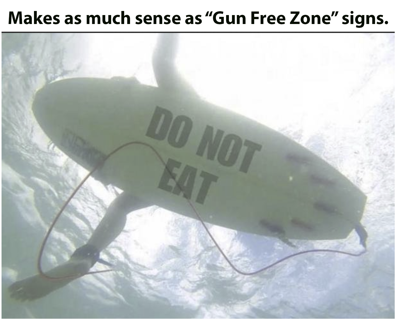 1700528811617.png
