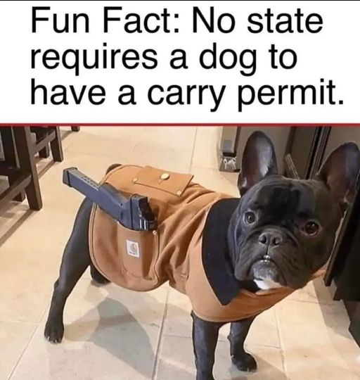 1709401952521.png
