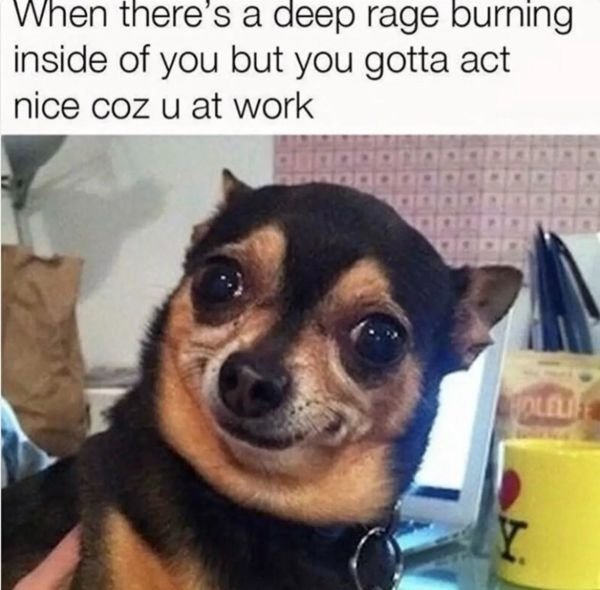 1714097702295.png