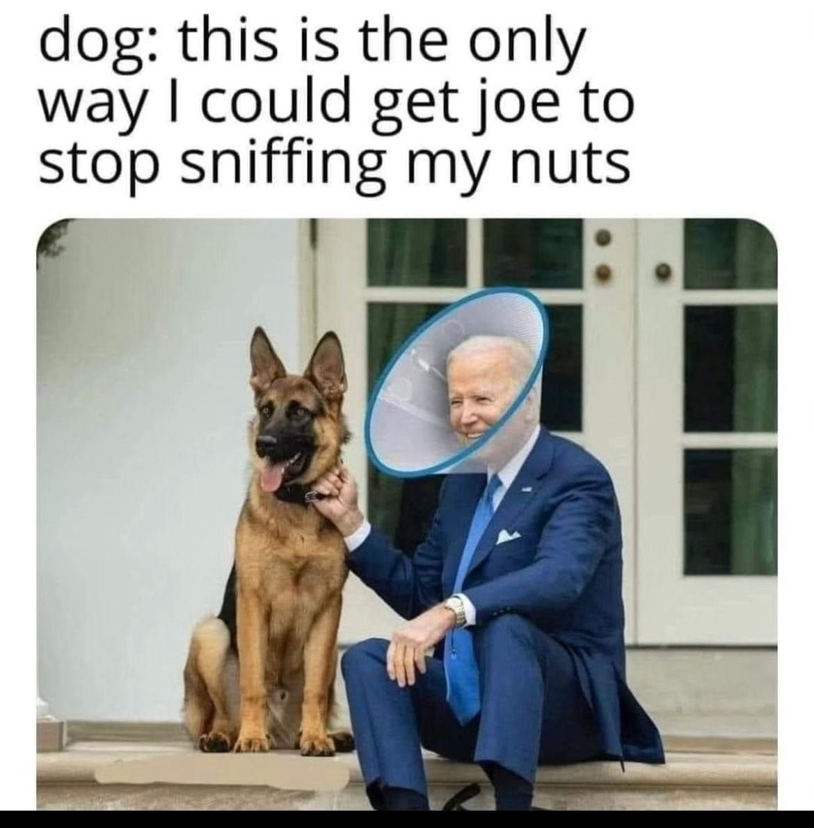 1715561335476.png