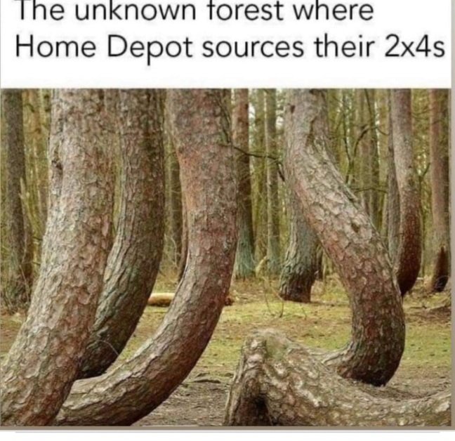 1716073619558.jpeg