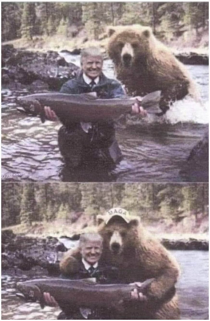 1719577070535.png