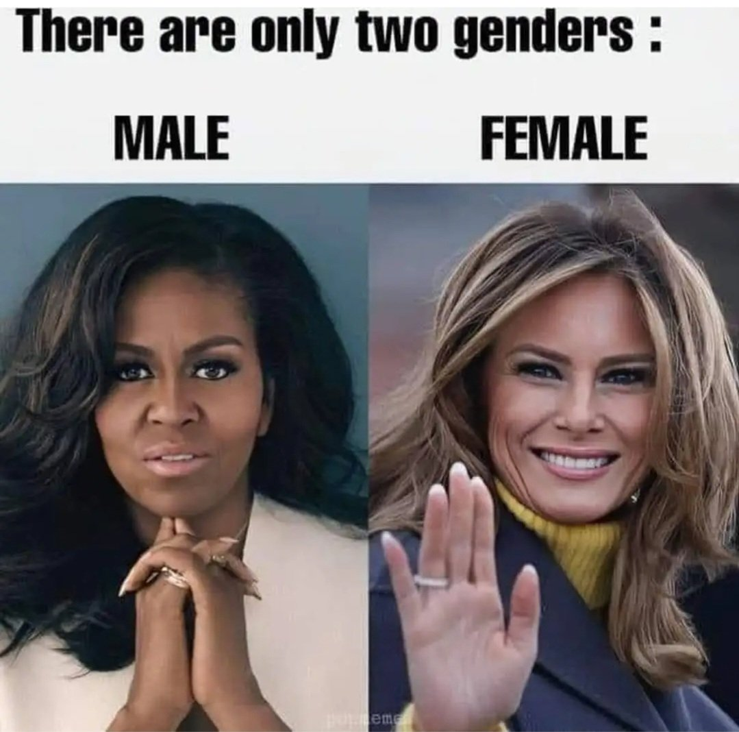 1720053345356.png