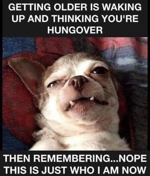 1720054270607.png