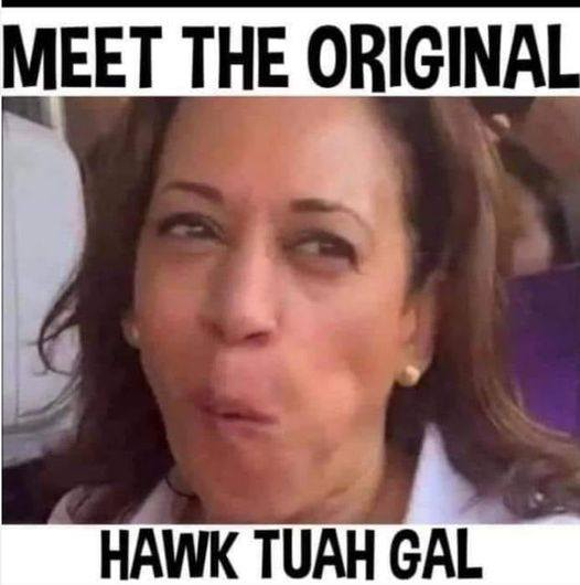 1720556229757.png