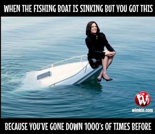 1721608911377.png