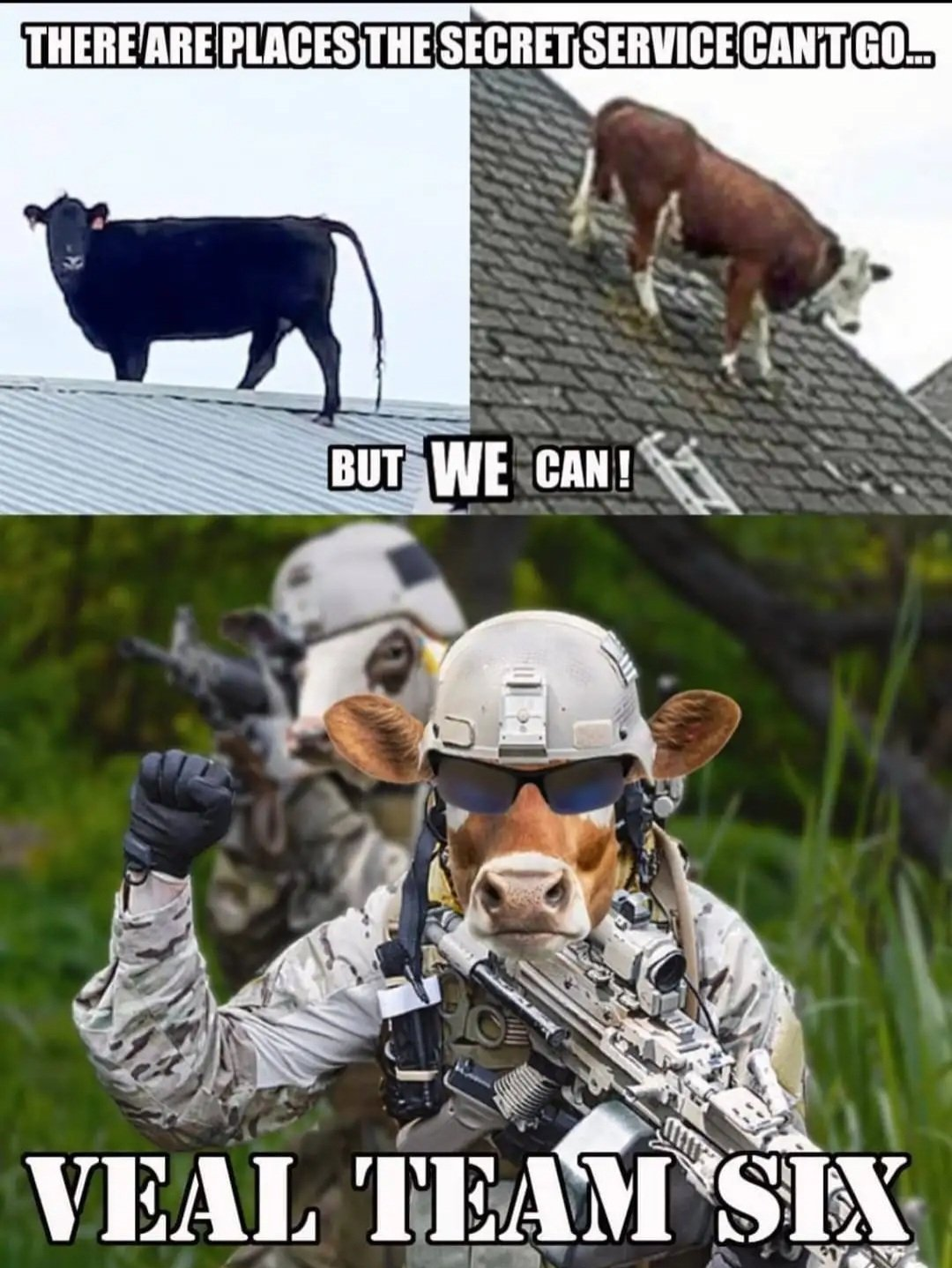 1721610218390.png
