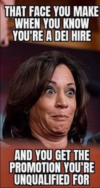 1722094284598.png