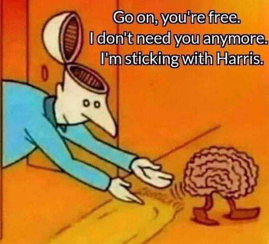 1722377359451.png