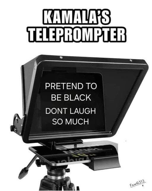 1722736645334.png