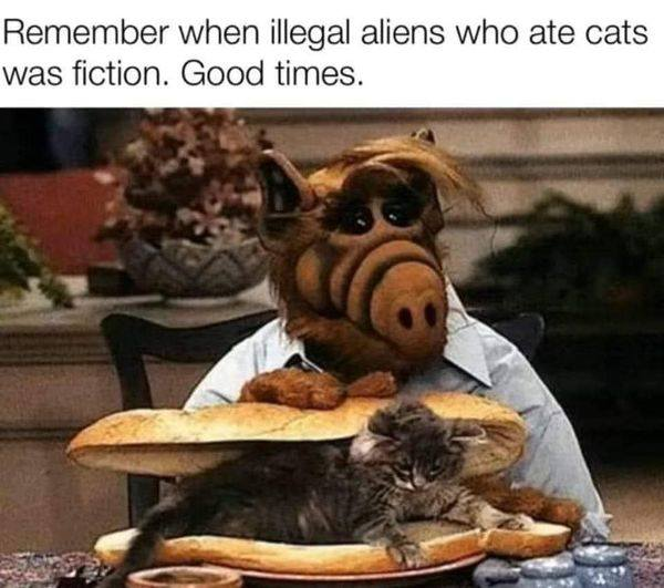 1725993583743.png