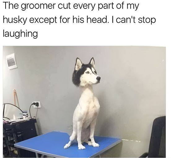 1726084205021.png