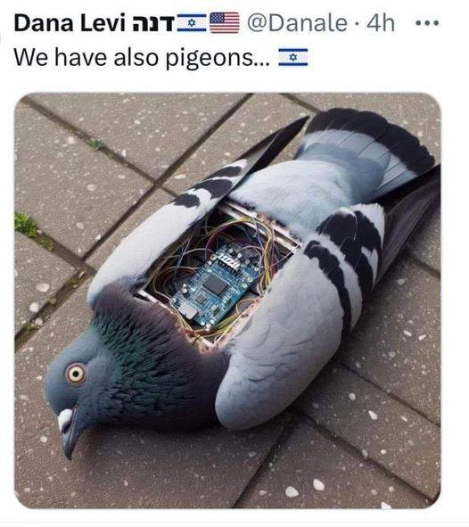 1726771598787.png