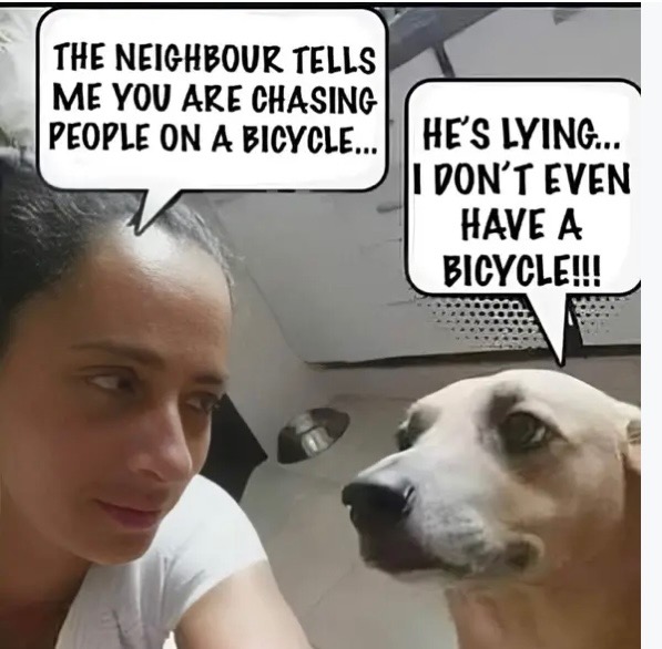 1727220380241.jpeg