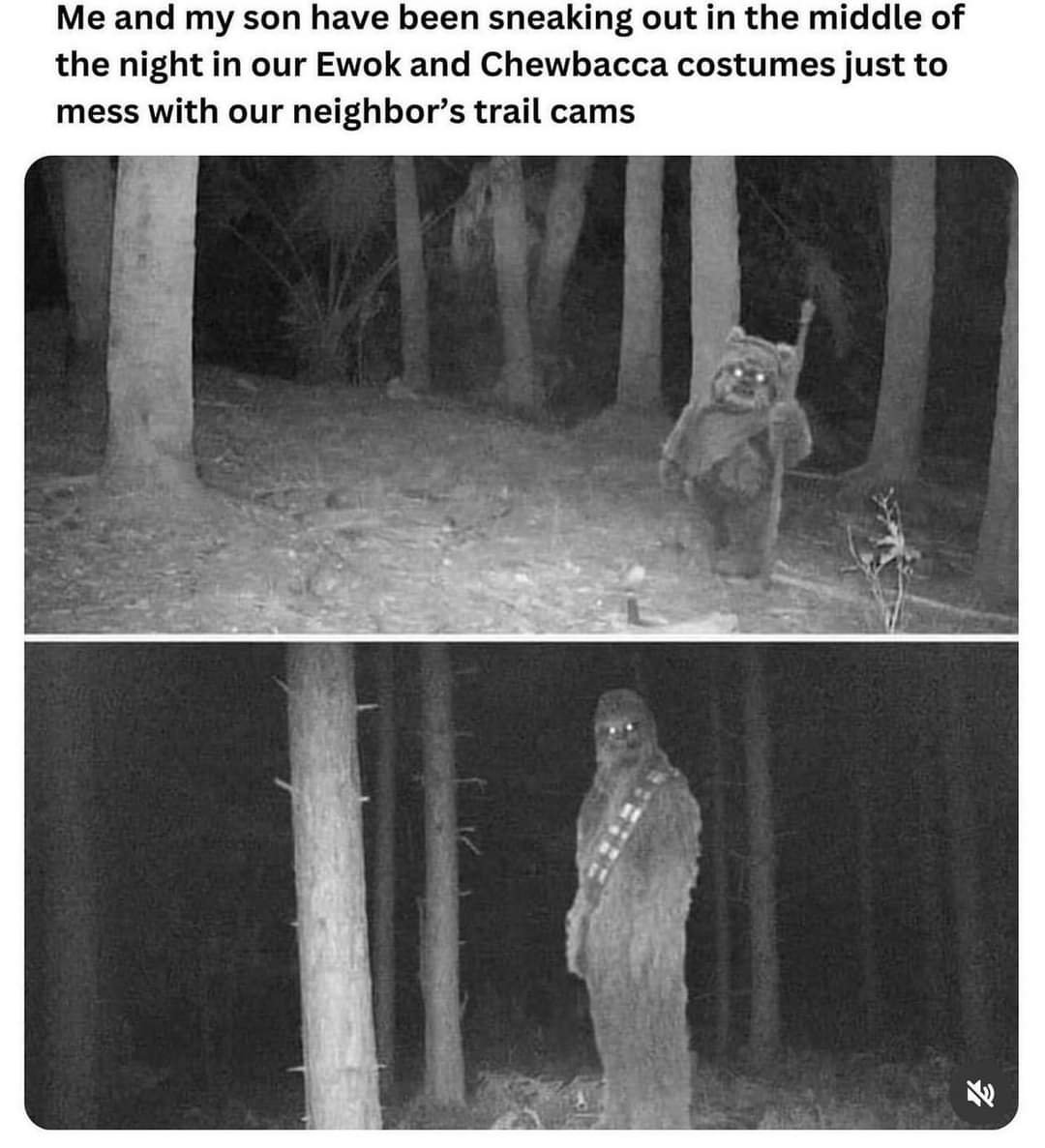 1728152290812.jpeg