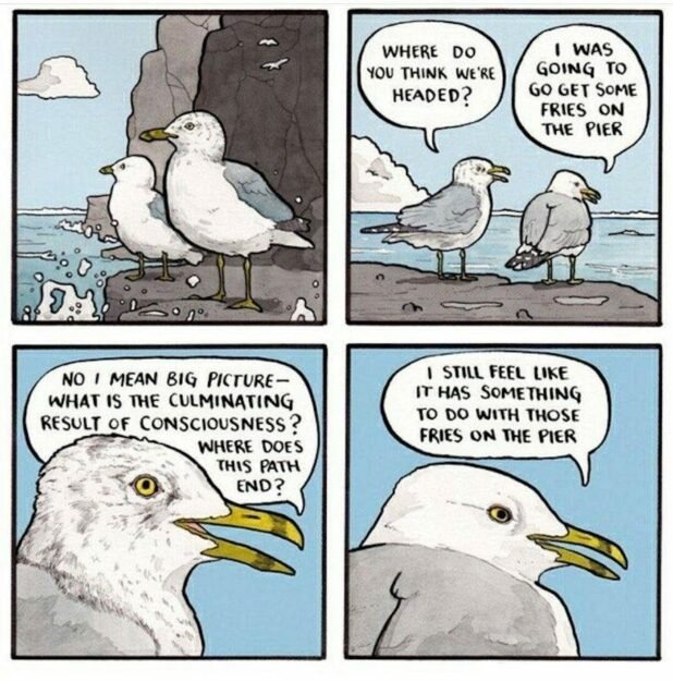 1729857402689.jpeg