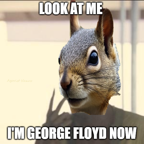 1730678520857.png