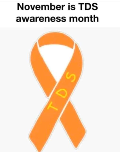 1731282851581.png