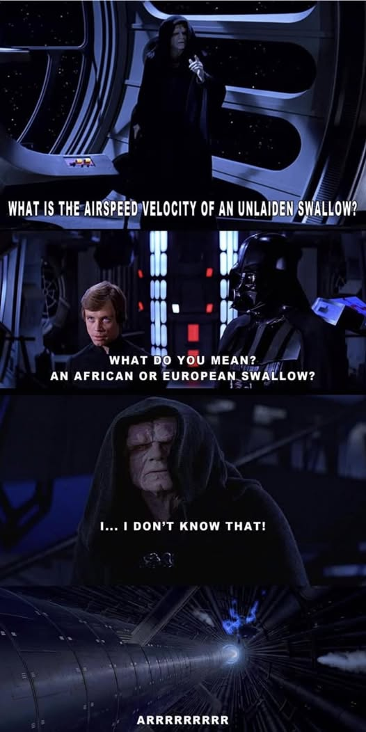 1734429508632.png
