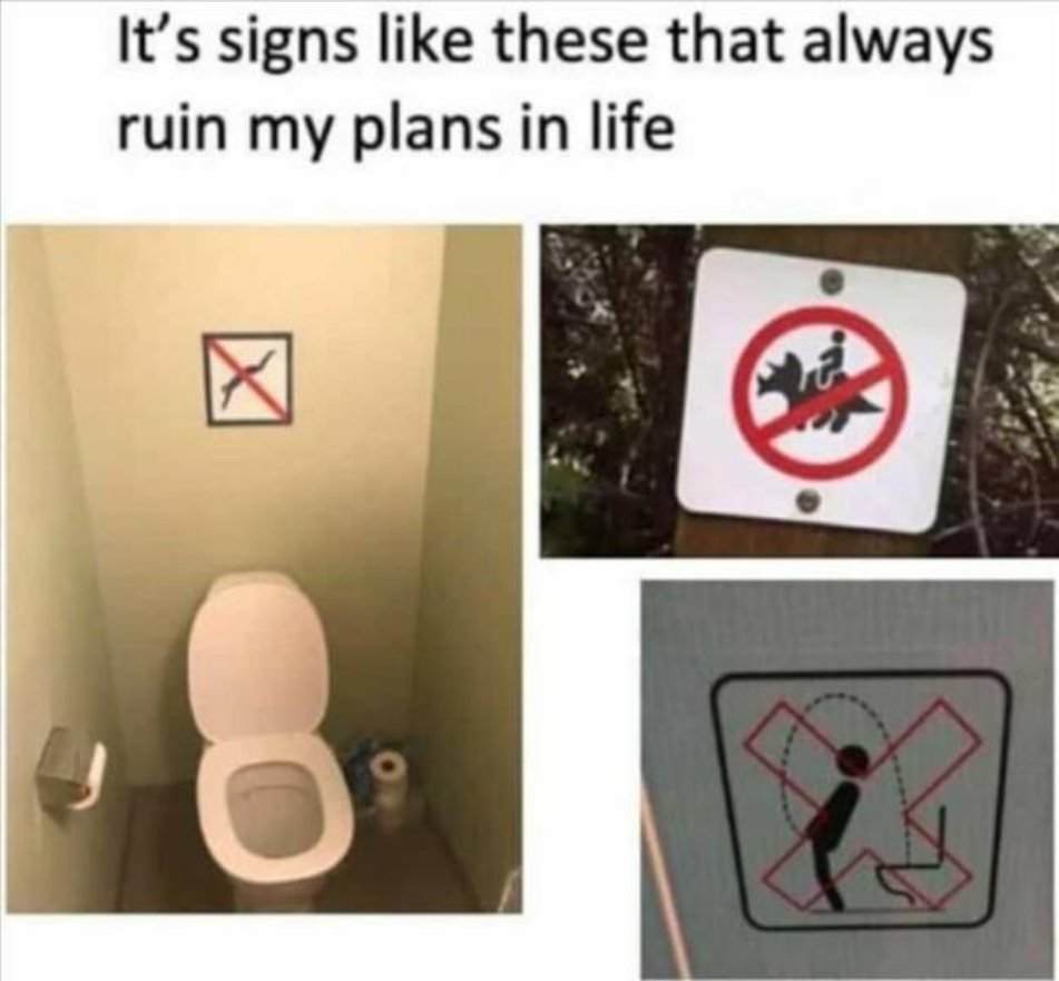 1735313527488.jpeg
