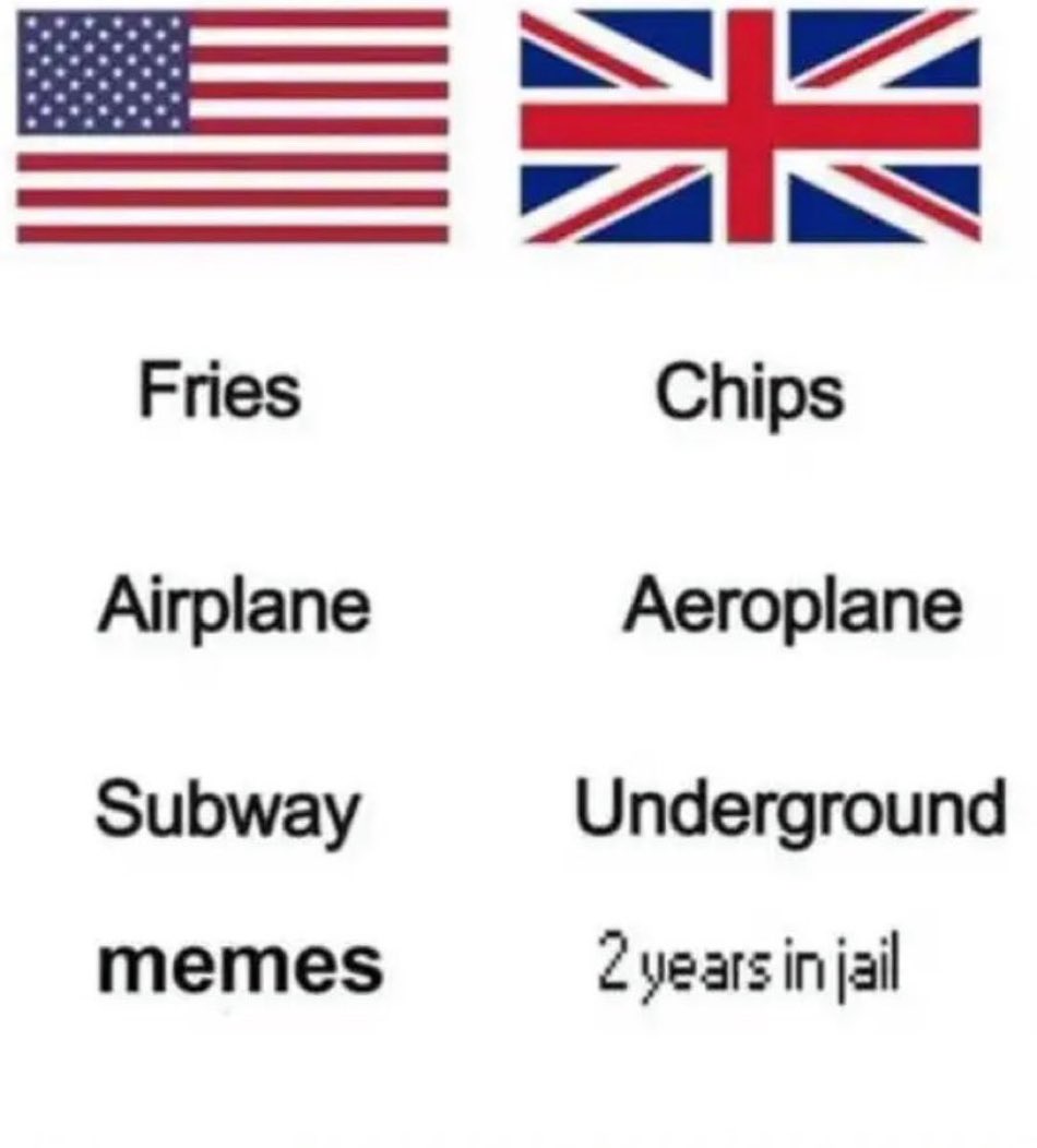 1735414092224.jpeg