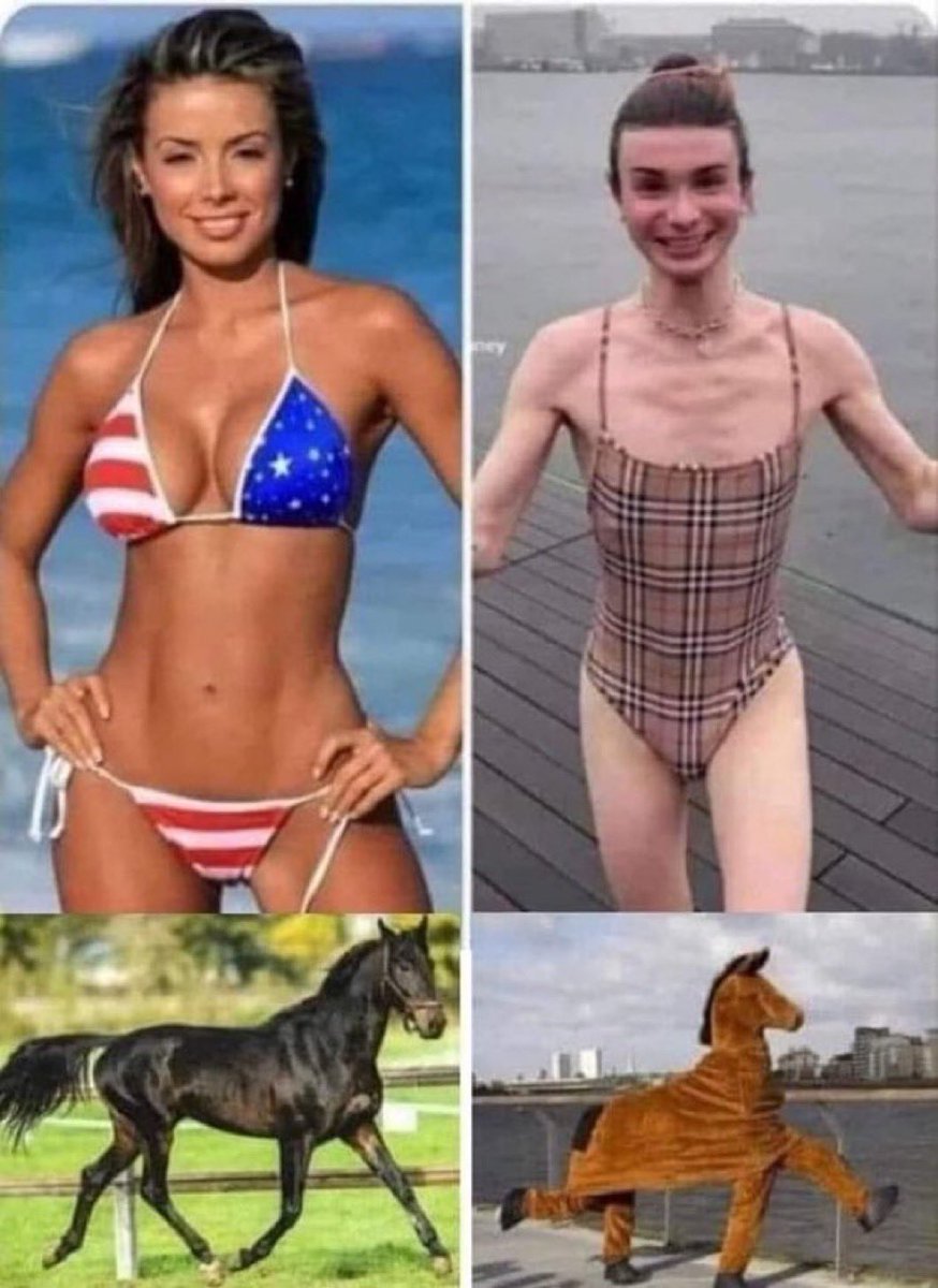 1744570296240.jpeg