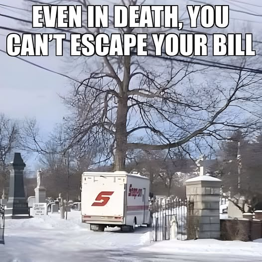 1746295522110.png