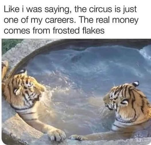 1747991425967.png