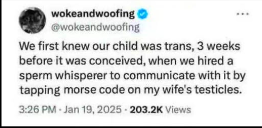 1751203275751.png