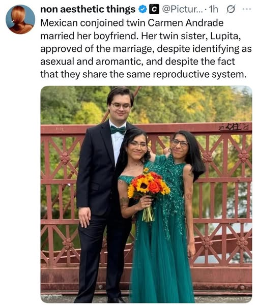 1753882871321.png