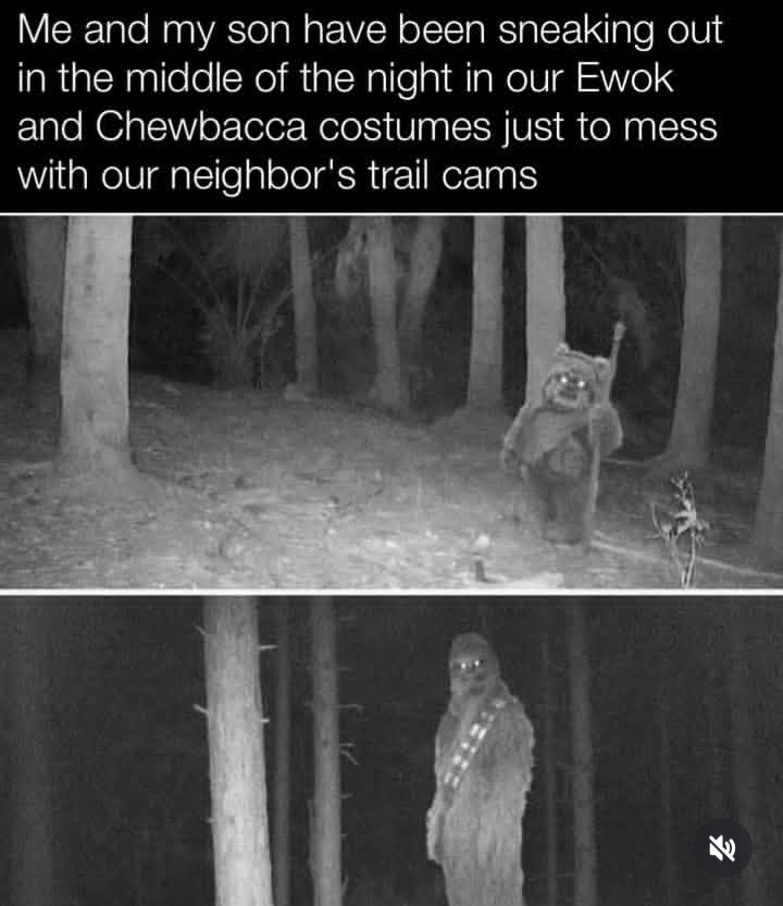 1753916912087.jpeg