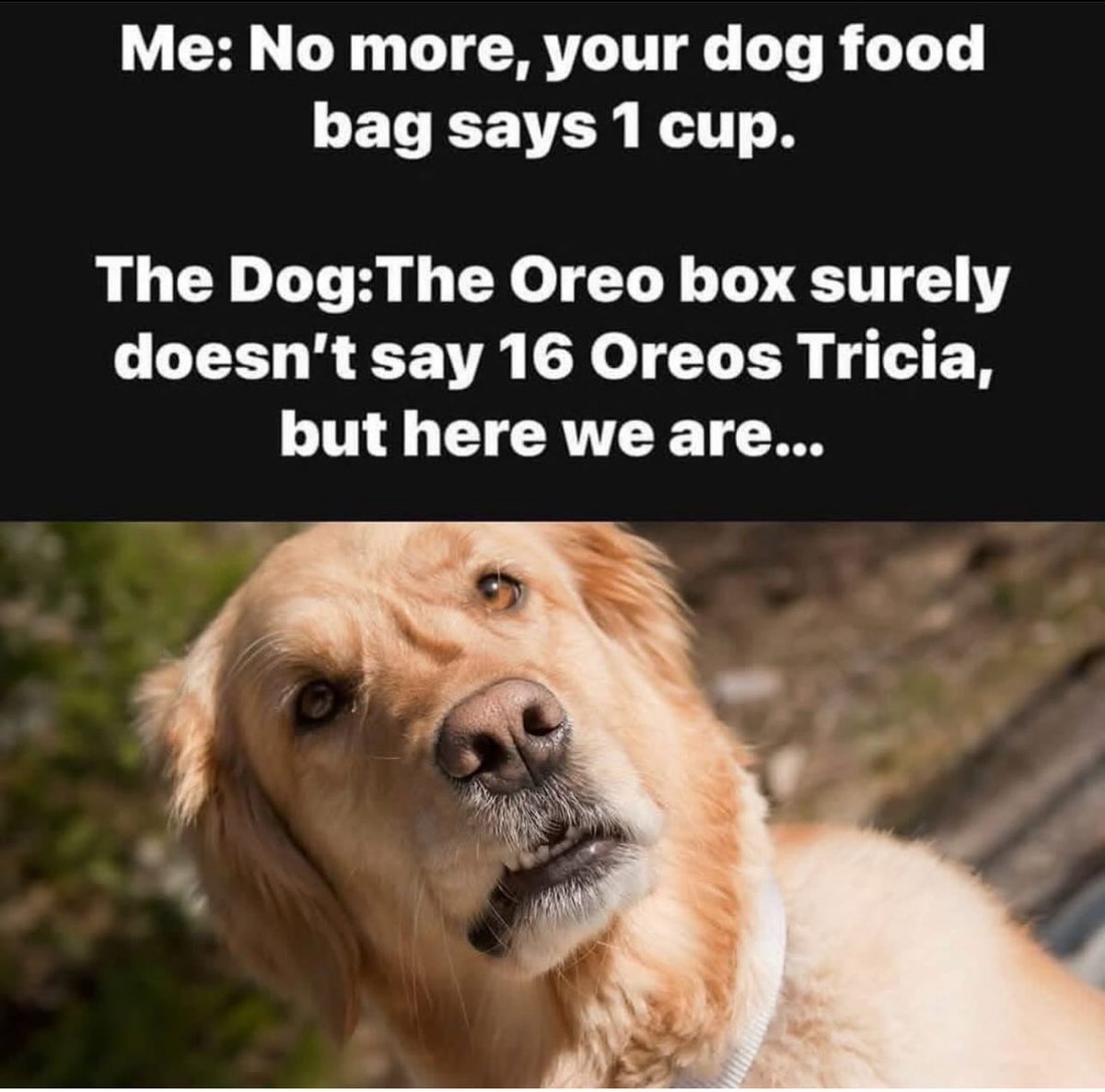 1754018683798.jpeg