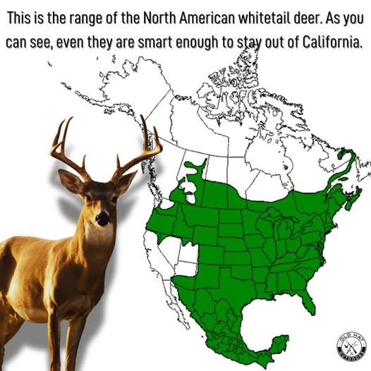 1756945096875.png
