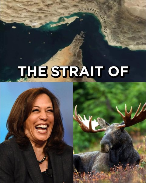 1774275448742.png