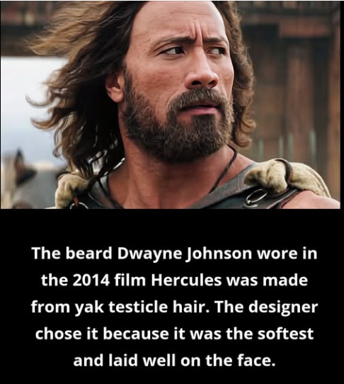 1774408775470.png