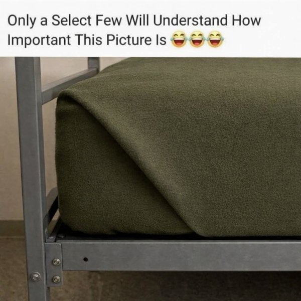 1774487550676.png