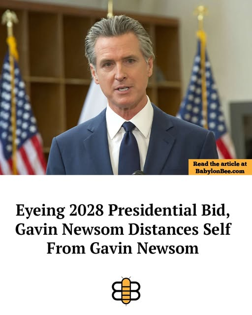 1778843579253.png