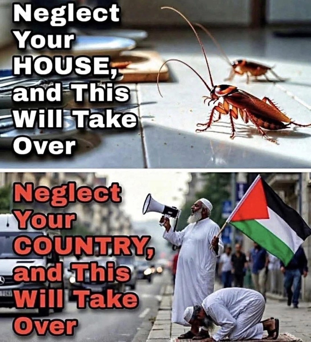 1780425203697.png