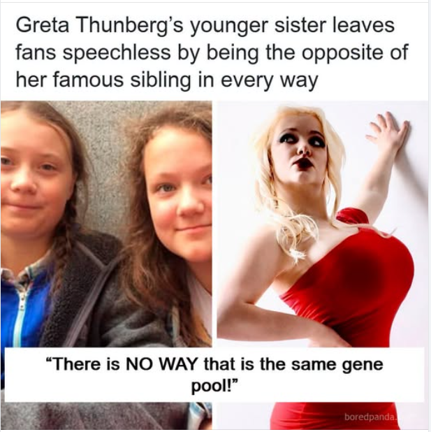 1784471504352.png