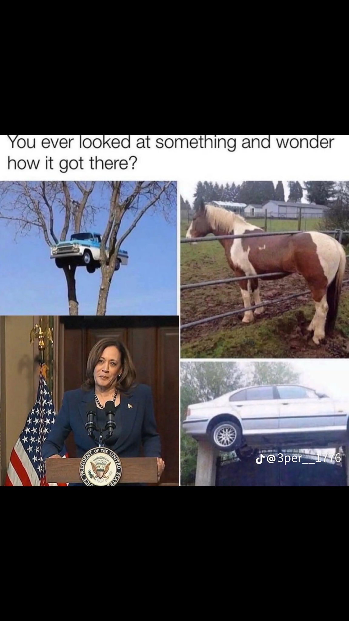 20240922_163253.jpg