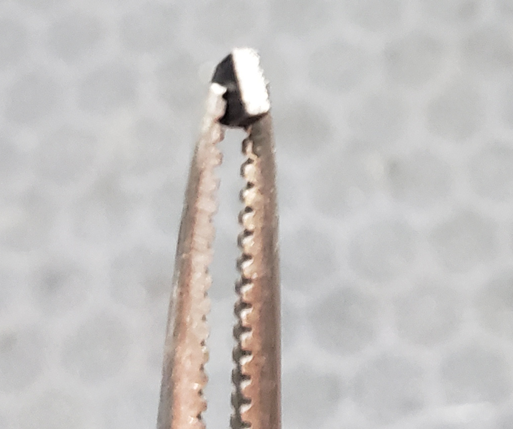 20240927_140114.jpg 20240927_140114.jpg