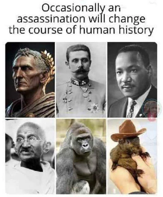 20241110_133104.png