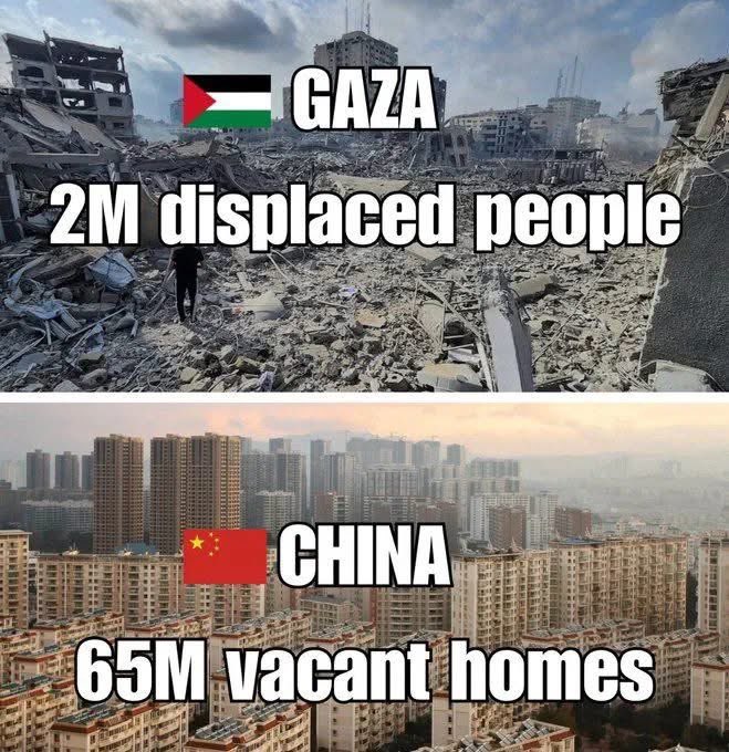 20250208_120353.jpg