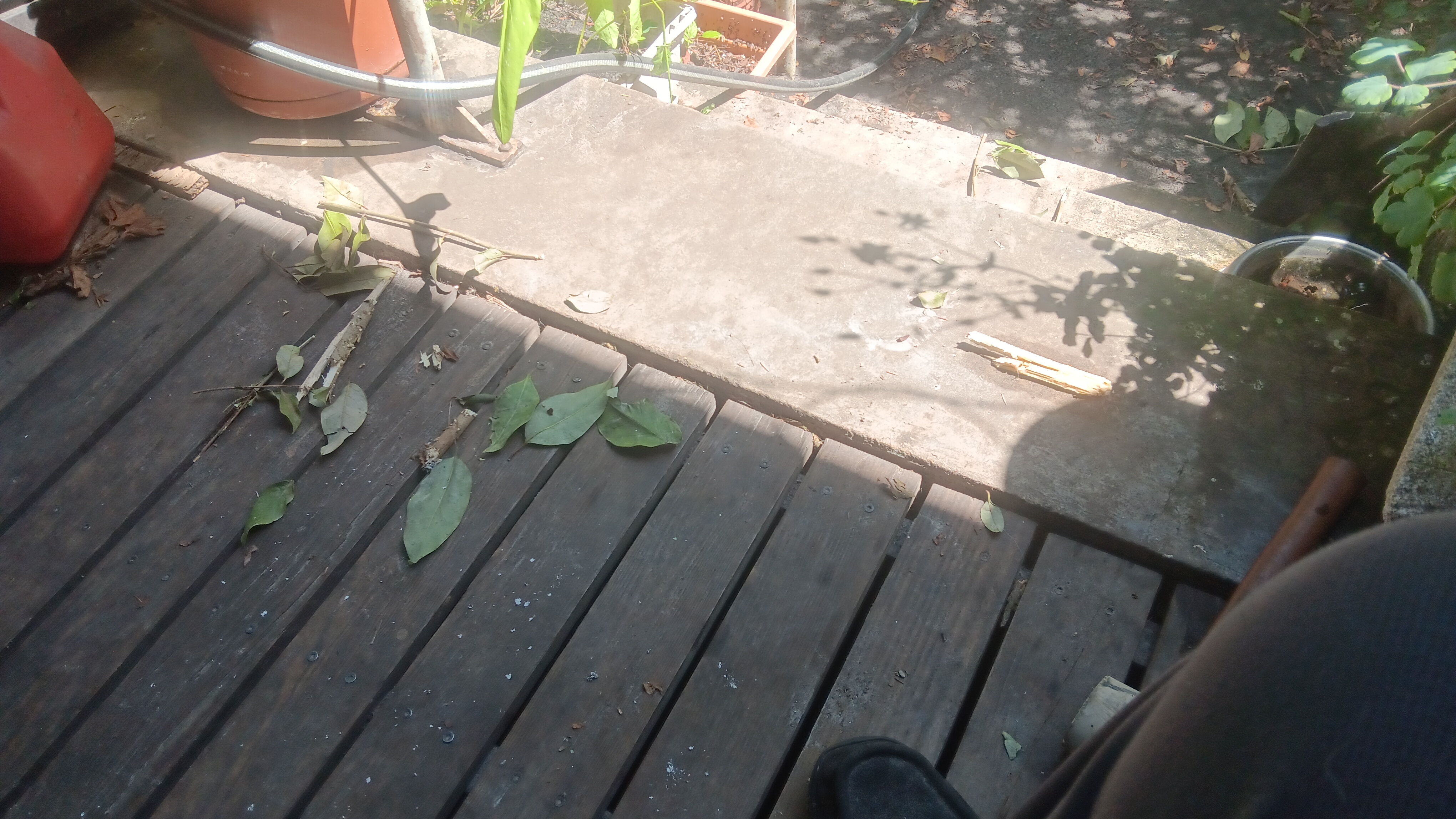 20260506_112454.jpg
