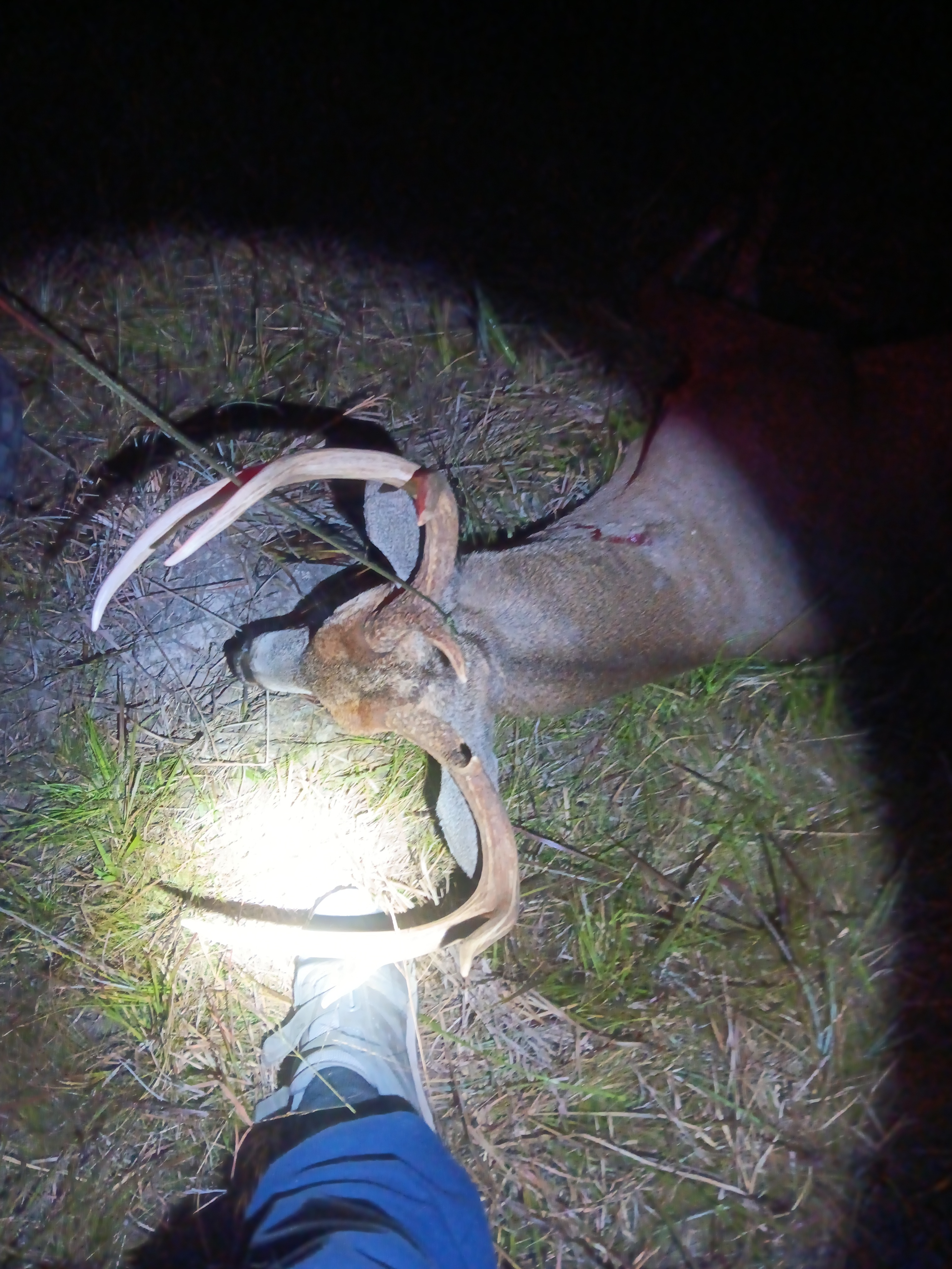 26897773-a448-431f-9dc3-cb49d45c77d1 (1).jpg